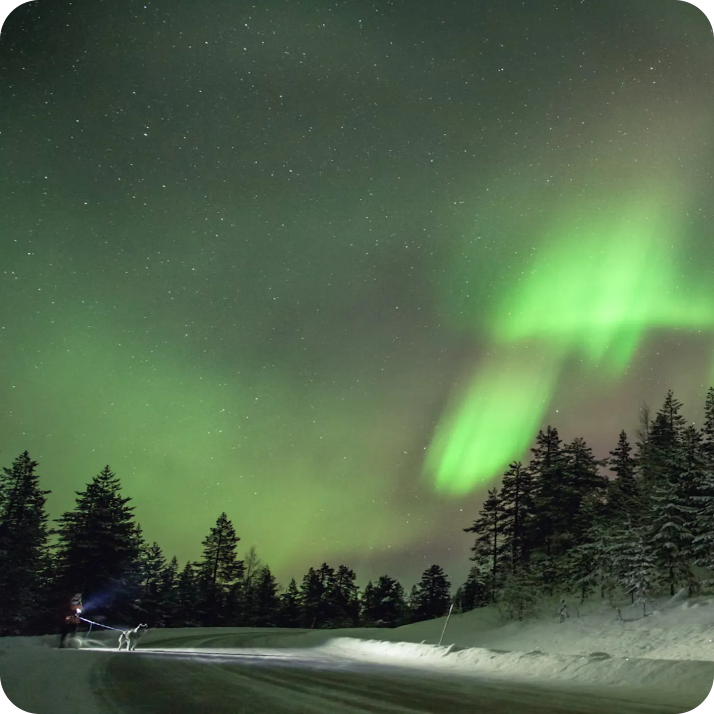 Северное Сияние